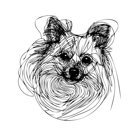 This unique line drawing features a playful pomsky face, blending elegance with whimsy. Perfect for adding a modern touch to any space or design project.のイラスト素材