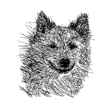 Captivating artistic sketch of a smiling dog showcasing textured fur and playful expression. Perfect for animal lovers and art enthusiasts looking for unique illustrations.のイラスト素材