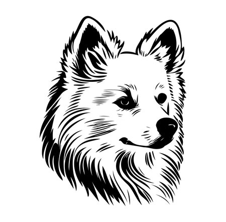 This artistic illustration features a detailed black and white head of a dog, capturing the animal's beauty and personality through clean lines and textures.のイラスト素材