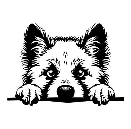 Artistic illustration of a cute dog face featuring big eyes and fluffy ears. Perfect for pet lovers, this design captures an adorable and playful expression.のイラスト素材