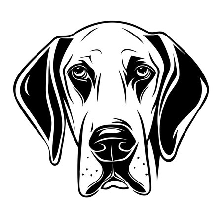 This black and white illustration features a detailed head of a dog, showcasing its expressive eyes and bold features. Perfect for pet-related projects.のイラスト素材