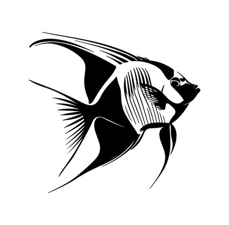 A stunning black and white illustration of a fish, showcasing its graceful fins and elegant silhouette. Perfect for art projects and marine-themed designs.のイラスト素材