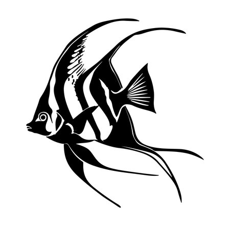 A detailed black and white illustration of a fish silhouette, showcasing graceful lines and curves. Perfect for nature enthusiasts and decorating spaces.のイラスト素材