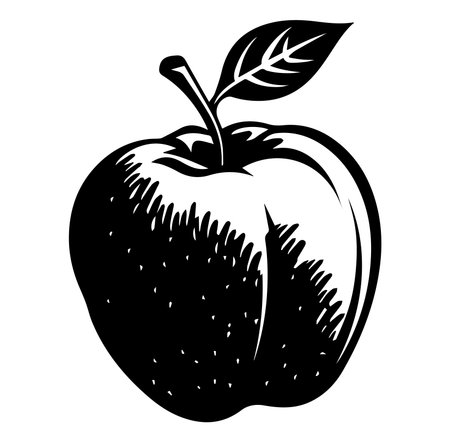 This black and white illustration features a single apple with a leaf, emphasizing nature's simplicity and elegance. Perfect for food-themed designs.のイラスト素材