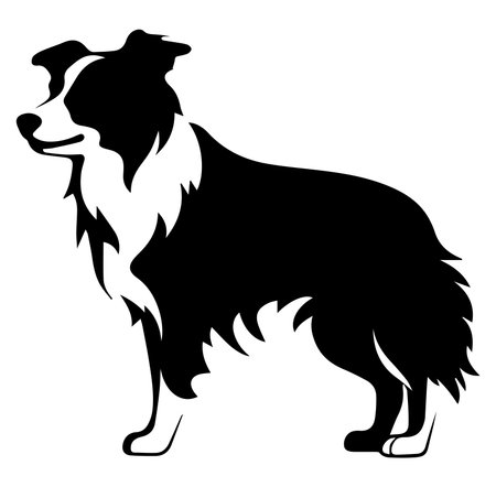 A stylish black silhouette of a collie dog standing confidently. This artistic representation captures the essence of canine elegance and playful spirit. Perfect for pet-related projects.のイラスト素材