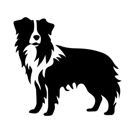 This striking silhouette of a collie dog showcases the elegance and charm of this beloved breed, perfect for various design and art projects.のイラスト素材
