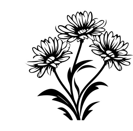 This elegant vintage floral illustration features three stylized flowers, showcasing beauty and simplicity with graceful lines and black and white contrast.のイラスト素材