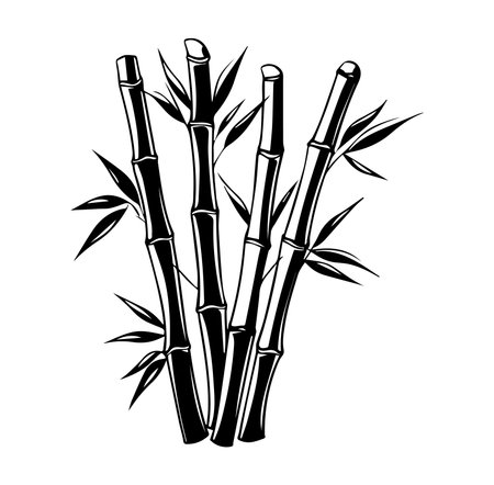 A detailed black and white illustration of bamboo stalks with leaves, capturing the essence of nature's beauty. Perfect for designs focused on tranquility and organic elements.のイラスト素材