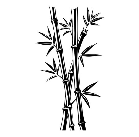 A striking black and white illustration of bamboo, perfect for home or office decor. This artwork evokes feelings of tranquility and elegance in any space.のイラスト素材