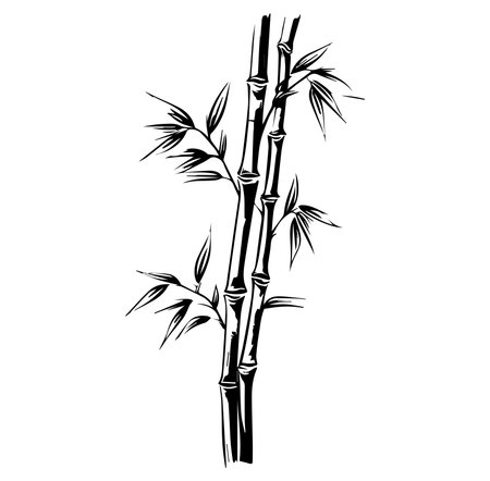 This black and white bamboo illustration offers a serene and minimalist design, perfect for nature-themed projects, backgrounds, or dのイラスト素材