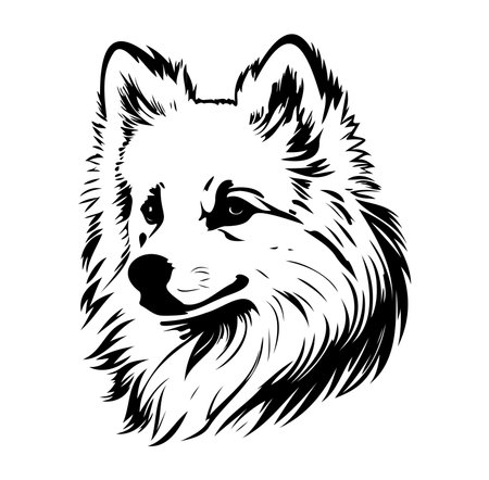 This elegant black and white illustration captures the essence of a fox with stunning detail and artistic flair, perfect for wildlife lovers and decor.のイラスト素材