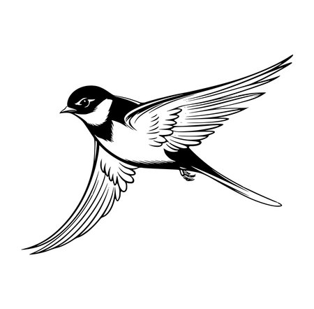 A stunning black and white illustration of a bird in flight, capturing the beauty and elegance of nature. Ideal for artistic or decorative use.のイラスト素材