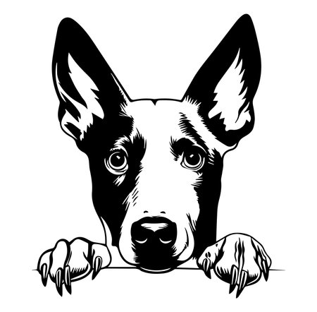 This striking black and white illustration of a curious dog captures the essence of canine character with detailed features and expressive eyes.のイラスト素材