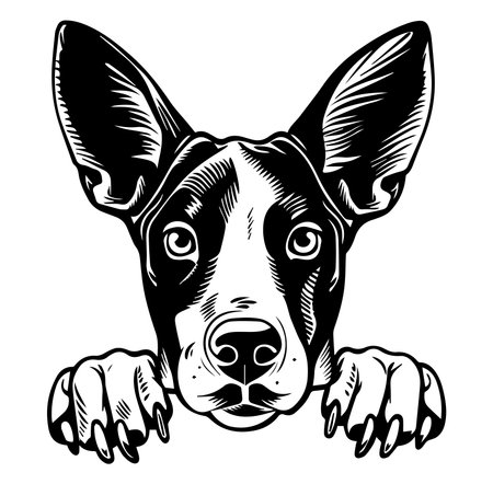 This artistic black and white illustration features a dog with perky ears and an adorable expression. Perfect for animal lovers and pet-themed designs.のイラスト素材