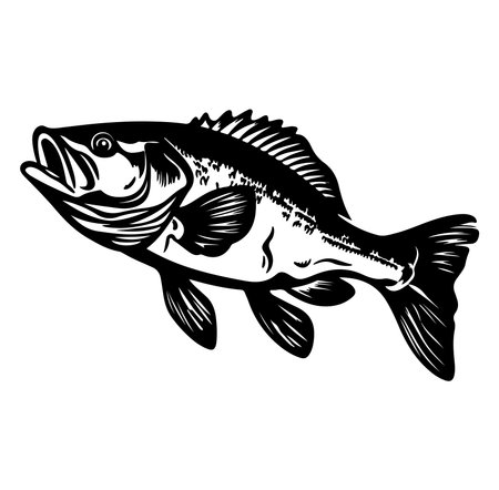 A striking illustration of a black bass, showcasing its unique features in a bold black and white style. Perfect for outdoor enthusiasts and fishing themes.のイラスト素材
