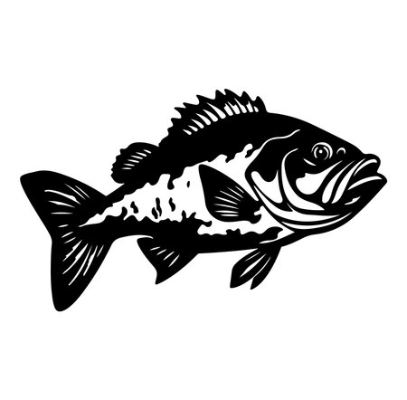 Detailed black and white illustration of a freshwater fish showcasing unique features and intricate details, perfect for creative projects or designs.のイラスト素材