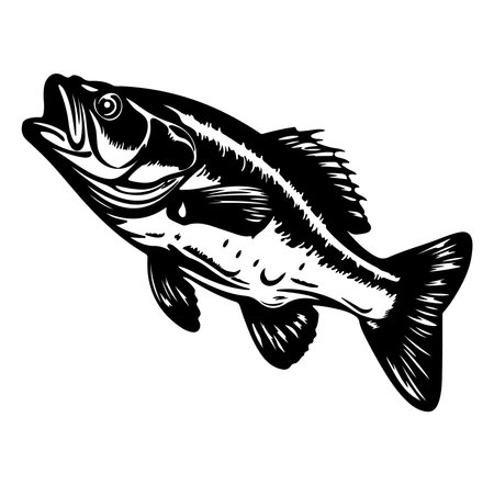 This illustration features a dynamic black and white design of a jumping bass fish, capturing the energy and beauty of aquatic life. Ideal for fishing enthusiasts.のイラスト素材