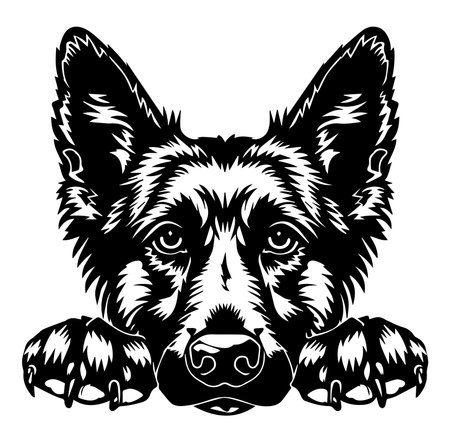 Elegant black and white illustration of a dog's face with captivating details. This striking artwork highlights the features and expression of a loyal companion.のイラスト素材