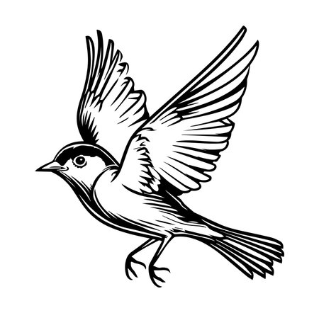 This striking illustration features a bird in flight, showcasing intricate wing details and graceful movement. Ideal for nature-themed projects.のイラスト素材