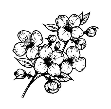 Beautiful hand-drawn illustration of flowering branches showcasing intricate details and natural beauty, perfect for creative projects and decorative use.のイラスト素材