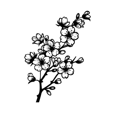 A delicate black and white illustration of cherry blossoms on a branch, capturing the elegance and beauty of nature. Perfect for art and decor.のイラスト素材