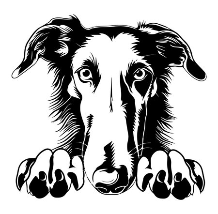 A striking black and white illustration of a dog's face with paws prominently shown. The design showcases the dog's expressive features, perfect for art enthusiasts.のイラスト素材