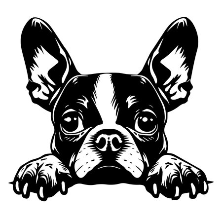 This black and white vector illustration features a cute French Bulldog head with big expressive eyes. Perfect for home decor or as a unique art piece.のイラスト素材
