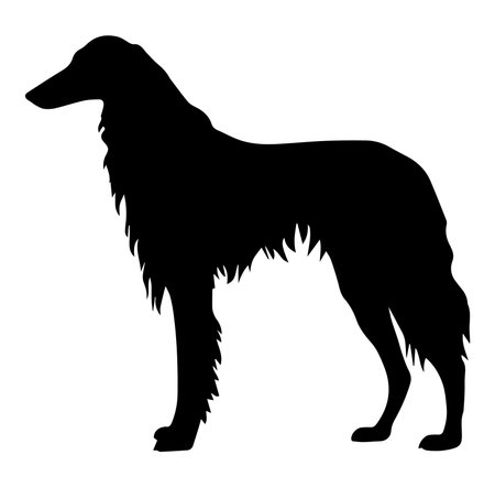 This elegant silhouette of a Borzoi dog captures the graceful form and unique features of the breed, perfect for artistic projects or pet-themed designs.のイラスト素材