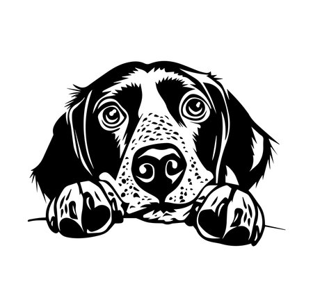 This black and white illustration captures a dog's expressive eyes and gentle demeanor, perfect for pet lovers seeking charming artwork and designs.のイラスト素材