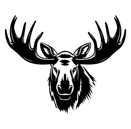 Stunning black and white illustration of a moose head, showcasing intricate details of its majestic horns and fur. Perfect for wildlife enthusiasts.のイラスト素材