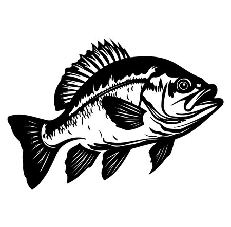 Detailed black and white illustration of a fish, perfect for fishing enthusiasts and nature lovers. Ideal for prints, designs, and educational uses.のイラスト素材