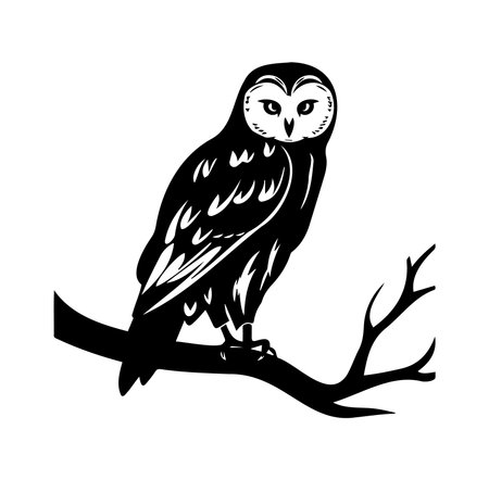 This black and white illustration showcases a detailed owl sitting gracefully on a branch, exuding a tranquil and watchful presence, perfect for nature-inspired decor.のイラスト素材