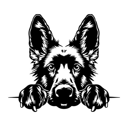 This detailed black and white illustration features a dog with prominent ears and an expressive gaze, evoking feelings of cuteness and loyalty.のイラスト素材