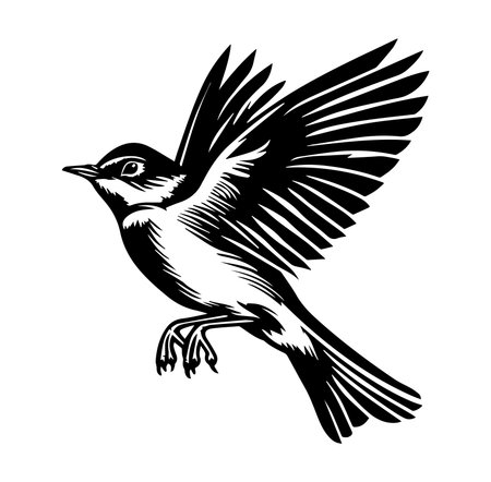This black and white illustration depicts a bird in mid-flight, showcasing its beautifully detailed wings and body. Perfect for nature-themed designs.のイラスト素材