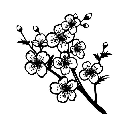 A striking black and white illustration of a cherry blossom branch, showcasing delicate flowers and a minimalist aesthetic, perfect for artistic projects.のイラスト素材