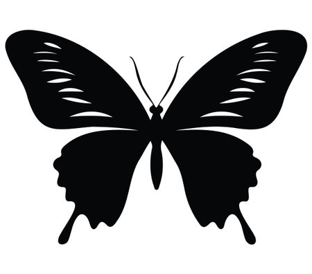 An elegant black silhouette of a butterfly set against a crisp white background. This minimalist design highlights the beauty and grace of nature's transformation. Perfect for artistic themes.のイラスト素材