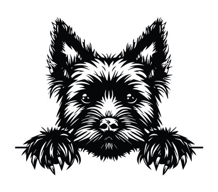 This artistic illustration features a playful dog's face with prominent ears and a cheerful expression. The black and white design highlights the furry texture and joyful character of the canine.のイラスト素材