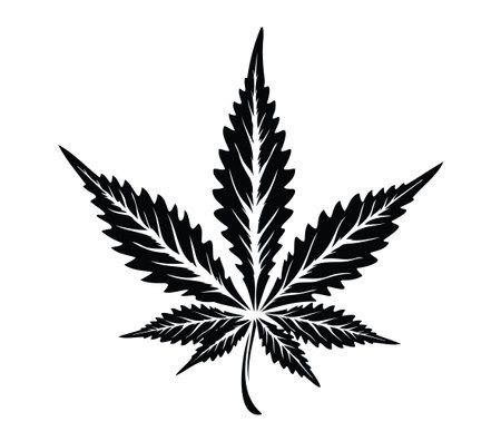 A striking black silhouette of a cannabis leaf against a clean white background, perfect for use in designs related to nature, health, and wellness concepts.のイラスト素材