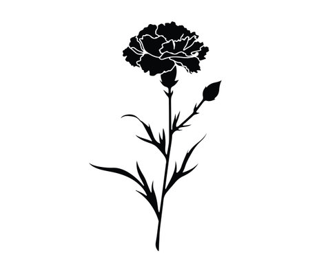 This elegant black silhouette of a carnation flower showcases the beauty of nature in a minimalist design. Perfect for various artistic projects or decorations.のイラスト素材