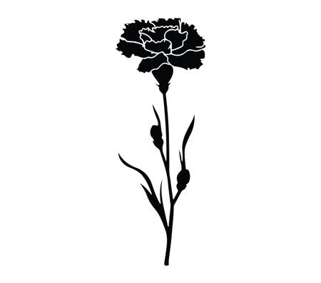 This image features an elegant black silhouette of a carnation flower stem. Ideal for various artistic, decorative, and minimalist projects. Perfect for enhancing visual appeal.のイラスト素材
