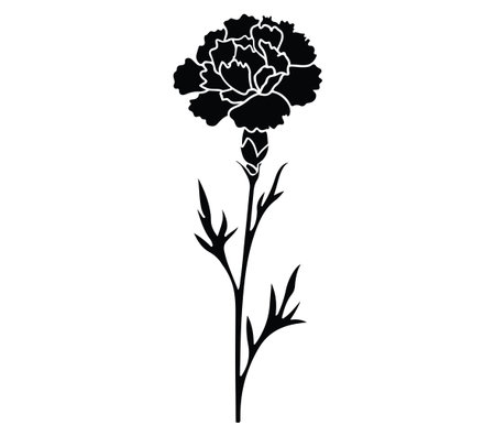 A striking black silhouette of a single carnation flower with leaves, perfect for design projects, artistic expressions, or nature-themed backgrounds.のイラスト素材