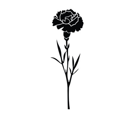 This image features a striking black silhouette of a single carnation flower with a stem, perfect for minimalistic art, design projects, and floral compositions.のイラスト素材