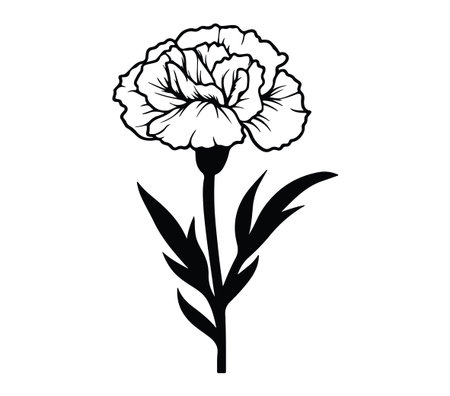 A detailed black and white outline illustration of a carnation flower, ideal for various design applications. This elegant floral graphic adds a touch of nature and beauty.のイラスト素材
