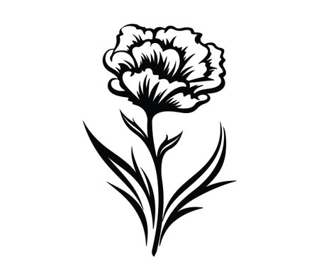 This black and white illustration features an elegant carnation flower with intricate details, perfect for art projects, invitations, or decorative prints.のイラスト素材