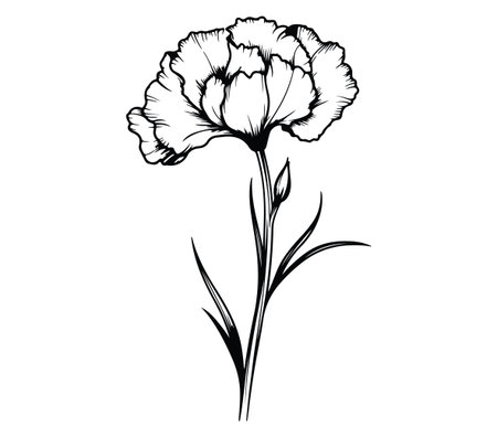 This elegant black and white outline illustration features a carnation flower, showcasing its delicate petals and elegant leaves. Perfect for botanical art lovers.のイラスト素材