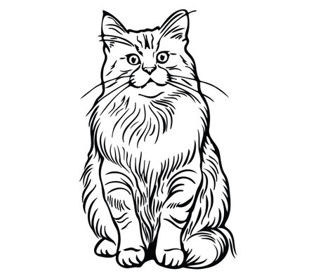 This elegant illustration showcases a cat with detailed fur and expressive eyes, perfect for art lovers and pet enthusiasts looking for visual charm.のイラスト素材