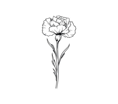 This elegant line drawing of a single carnation flower presents a delicate and artistic representation, perfect for floral designs and modern decor.のイラスト素材