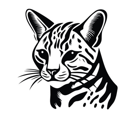 Explore this artistic black and white illustration of a wild cat face, highlighting the intricate details and striking features of the animal. Perfect for graphic design projects.のイラスト素材