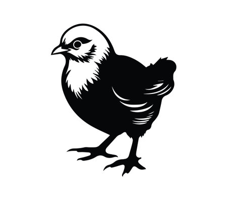 A charming black silhouette of a baby chick, showcasing delightful feather details. Ideal for farm or nature-themed projects, conveying cuteness and simplicity.のイラスト素材