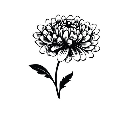 This black and white illustration features an elegant flower with intricate petals and leaves, perfect for various design projects and creative uses.のイラスト素材